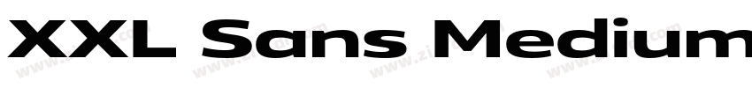 XXL Sans Medium字体转换